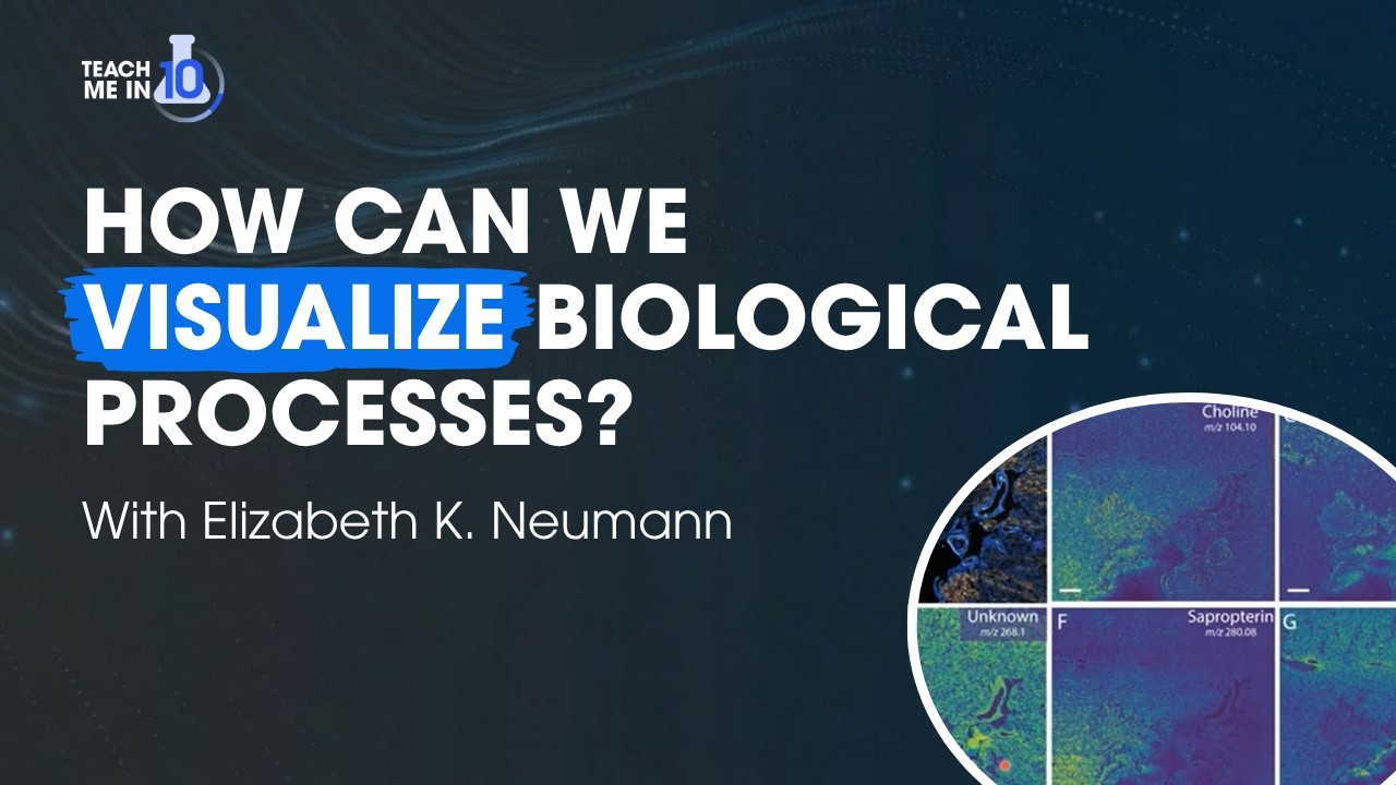 How Can We Visualize Biological Processes?