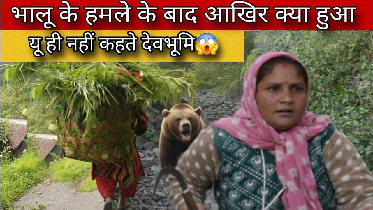 भालू के हमले के बाद ये क्या हुआ 😱 || Bear Attack || Bear Attack Uttarakhand 
