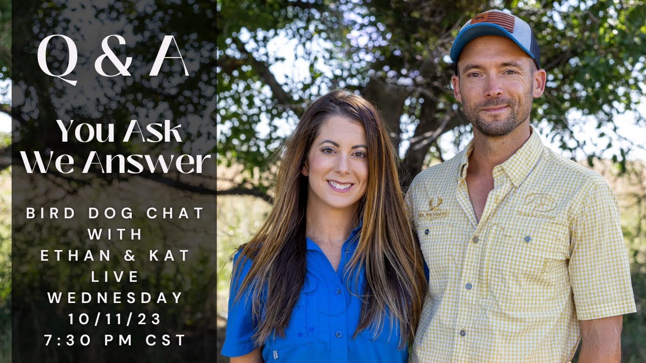 Bird Dog Chat With Ethan And Kat - Q&A