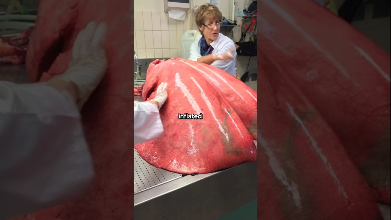 Rare Photos You've Never Seen Before [Part 379]