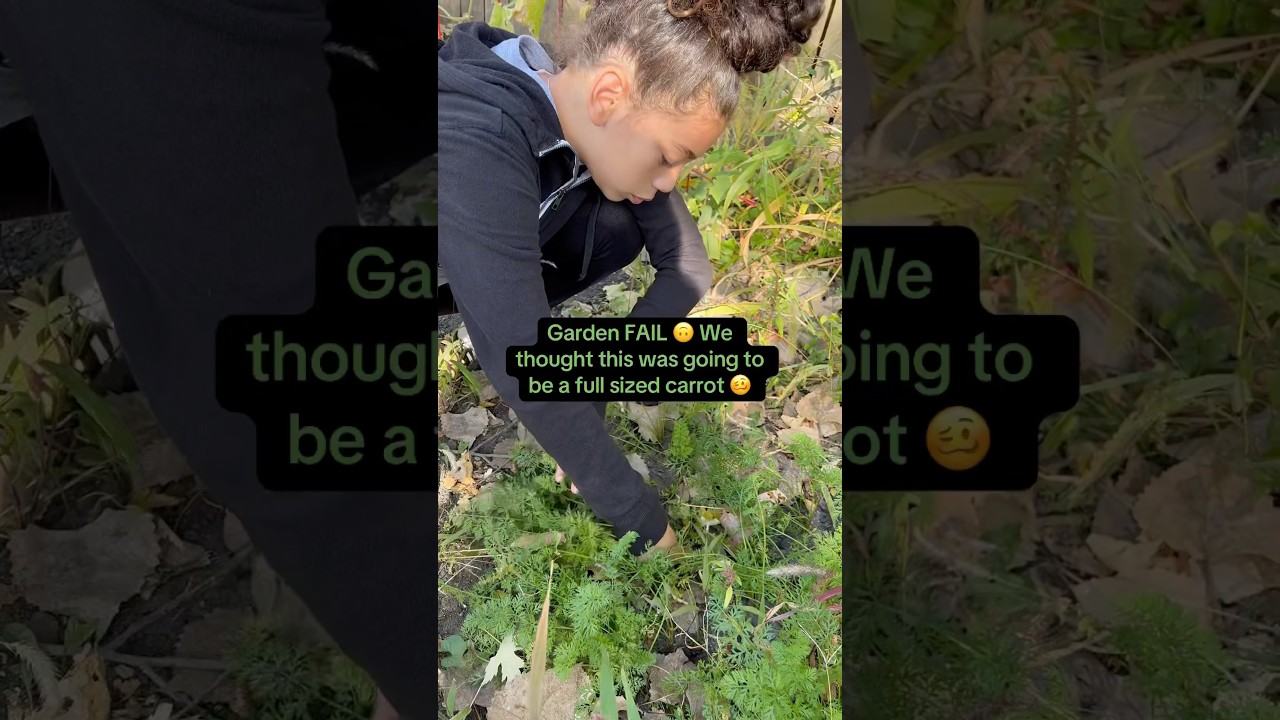 ❌ Look what we found in the Garden fail. #plantmom #garden #fail #shorts #plants #mom #pumpkin