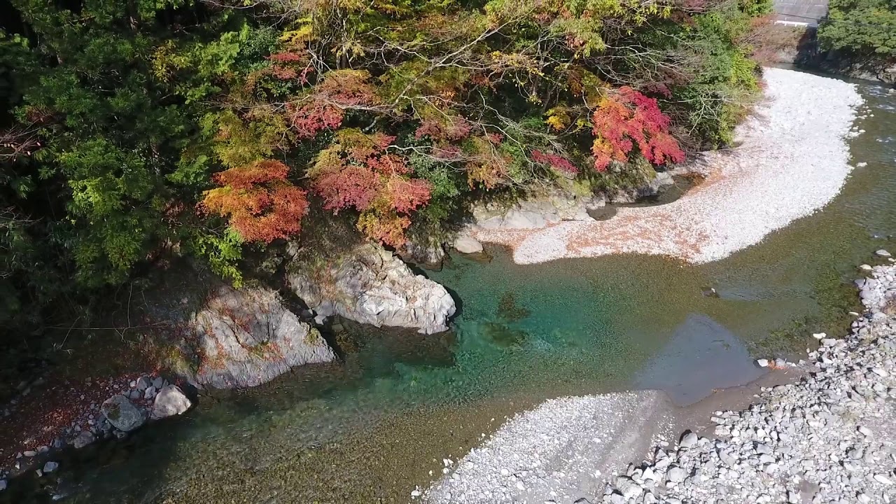 20171117 湯川川の紅葉（下湯川）