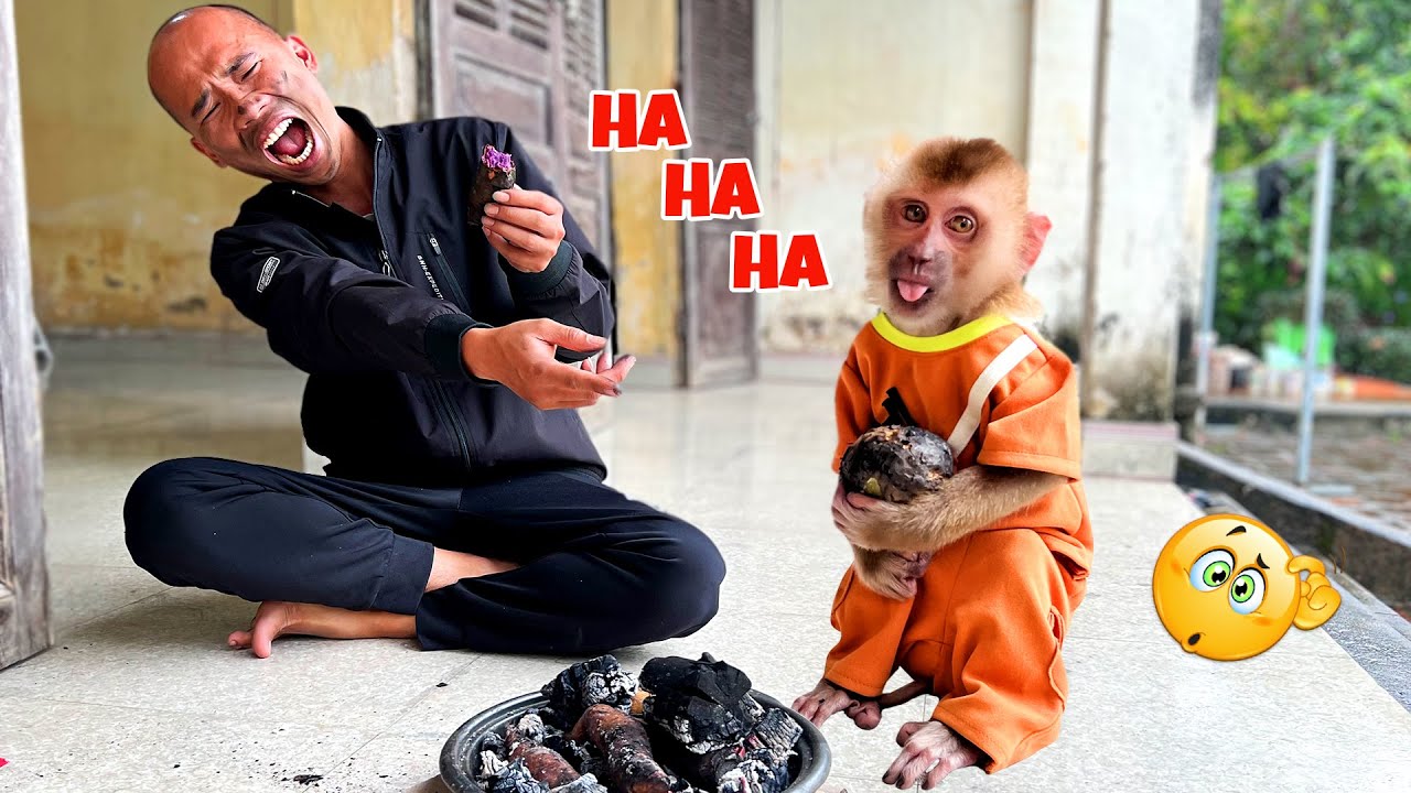 Барбекю с папой и Киви для расслабляющих выходных!!!