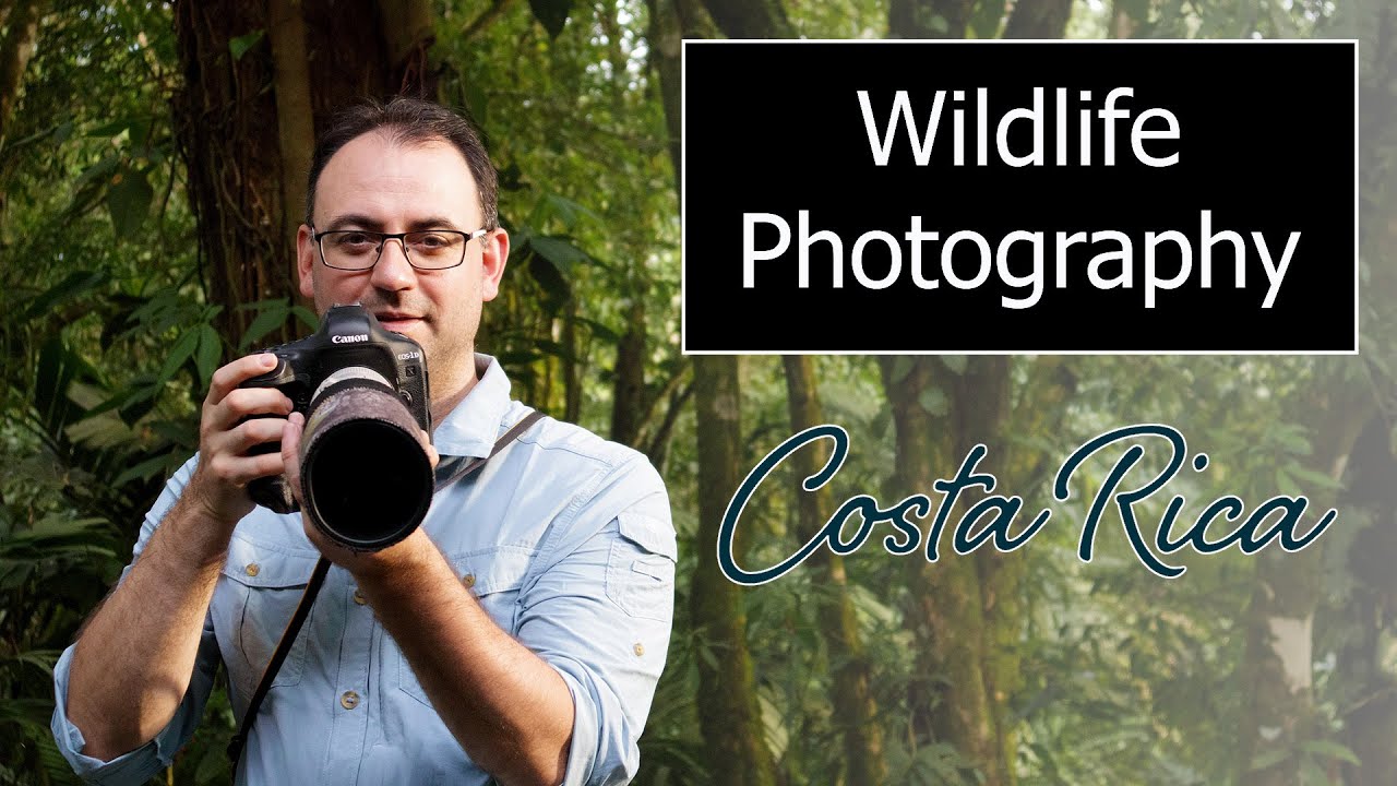 Costa Rica Wildlife Photography VLOG - Hand-holding with a Canon EF 400mm f/5.6 Lens