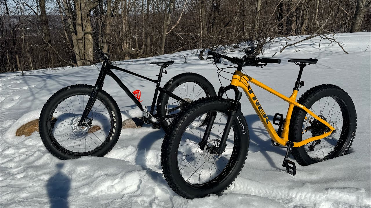 Avalanche Mountain Preserve Fat Bike 2/14/2026