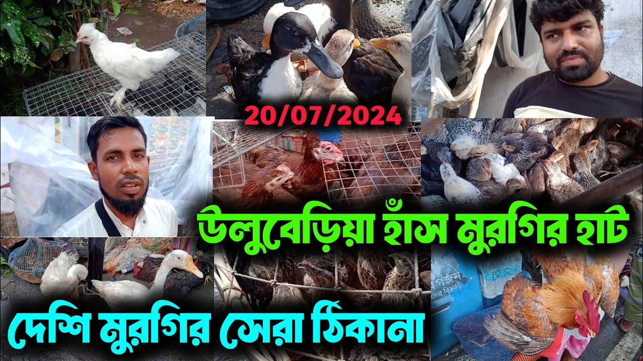 Uluberia Hen Market 2024।। উলুবেড়িয়া হাঁস মুরগির হাট 2024।।New Upadate on 20/07/2024