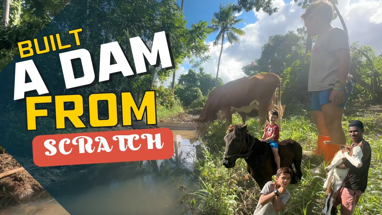 Экономия воды, спасение коров – Fiji Village Life_Vlog 201