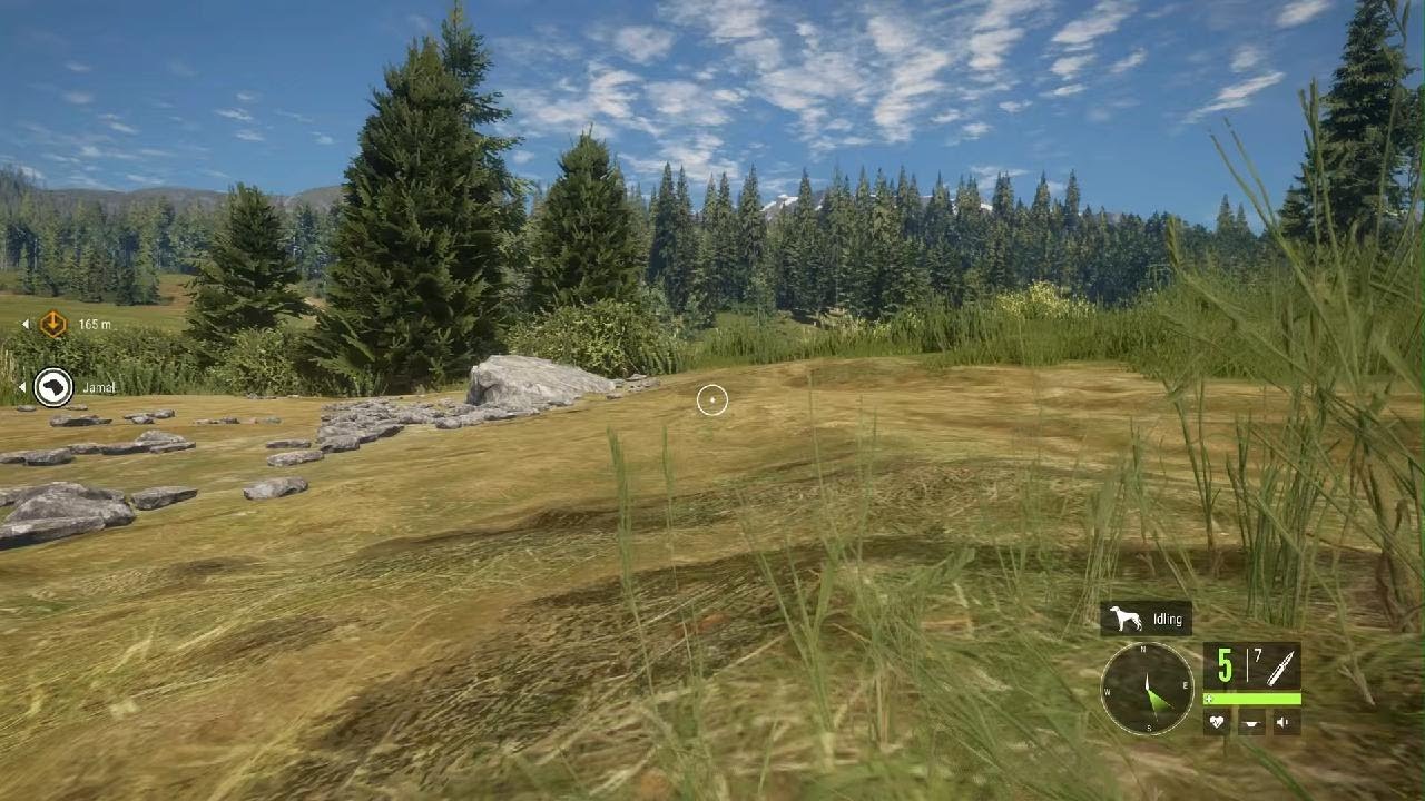 theHunter: Call of the wild