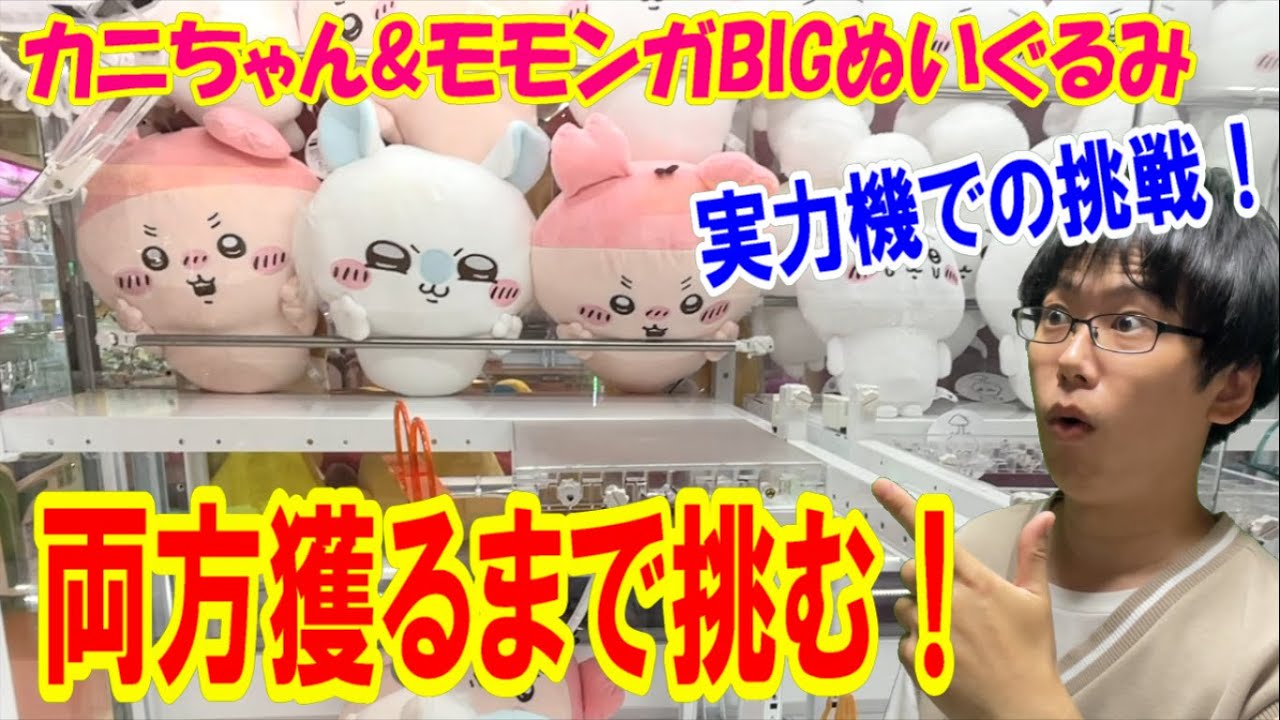 【ちいかわ】確率機ではなくついに実力機！クレーンゲームでカニちゃんとモモンガのBIGぬいぐるみ獲れるまで挑む!!