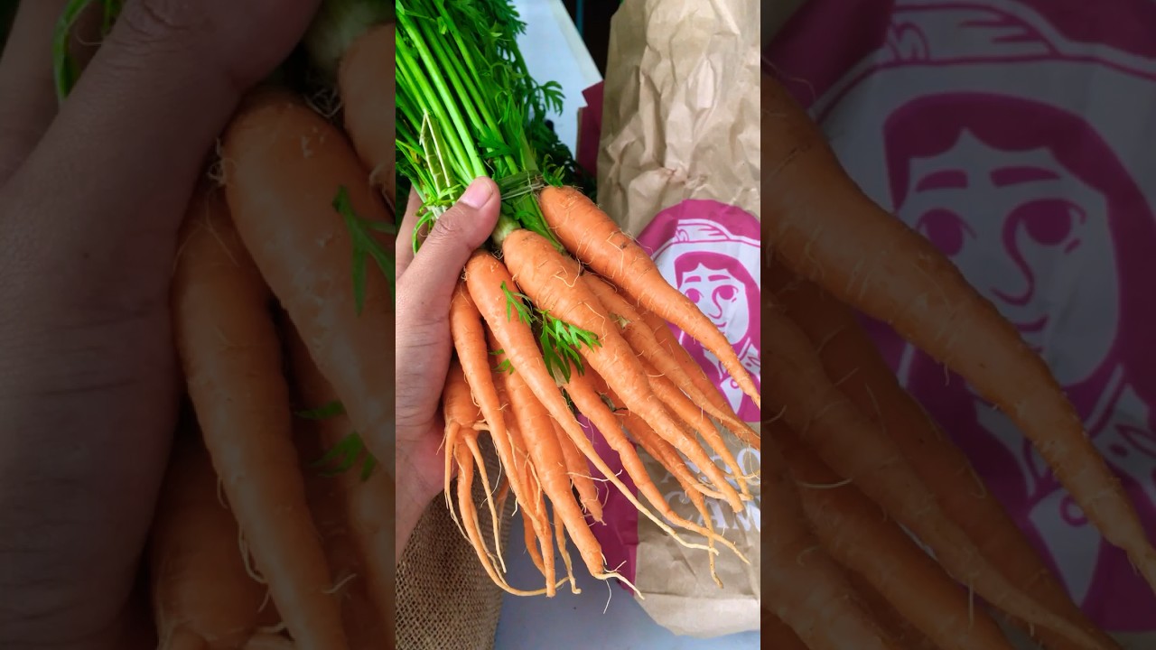 Verduras org&aacute;nicas libres de pesticidas 💚🫶🌿 #food #suscribete #saludable #satisfying #organic