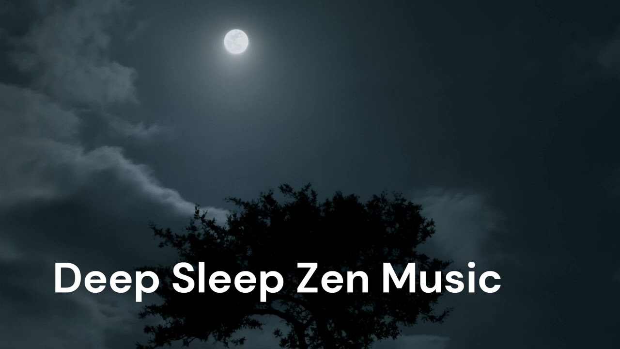 Relaxation & Zen Deep Sleep Music  💤