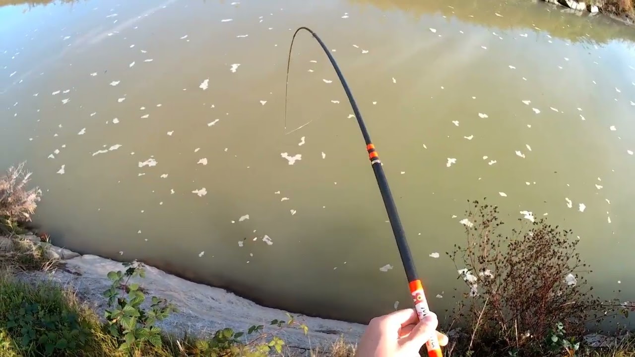 Un pesce mostruoso mi ha trascinato per 100 metri