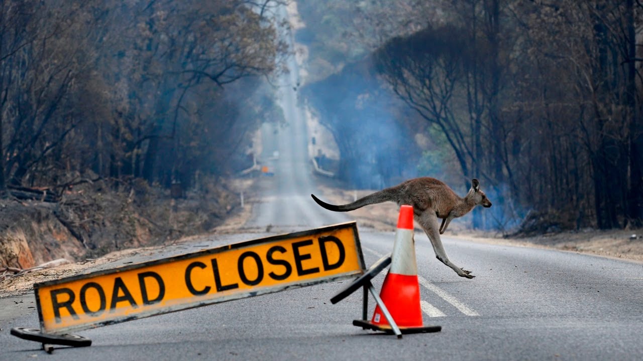 'Extraordinary 72 hours in Gippsland': Nationals MP Darren Chester on weather disasters