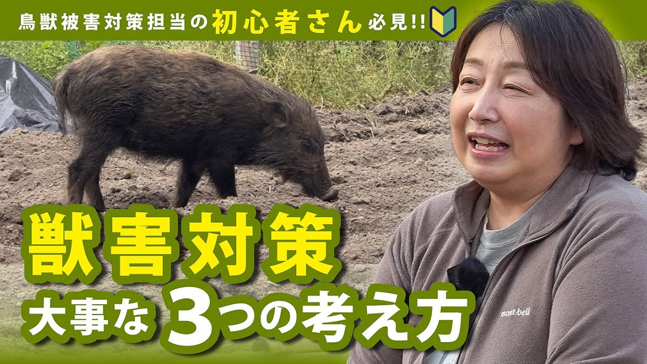 【鳥獣被害対策 初心者】初めての鳥獣被害対策の担当者は必見！獣害対策で最初に知っておきたい3つの考え方【Q&A001】