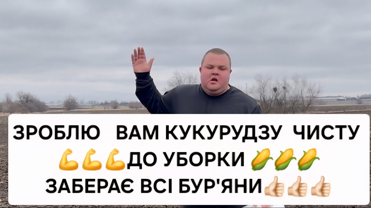 НОВИНКА І КУКУРУДЗА ЧИСТА ВІД ПОСІВУ ДО ЗБИРАННЯ #агро #фермер #НІРМАЛ ##бодяагро #поле #трактор 