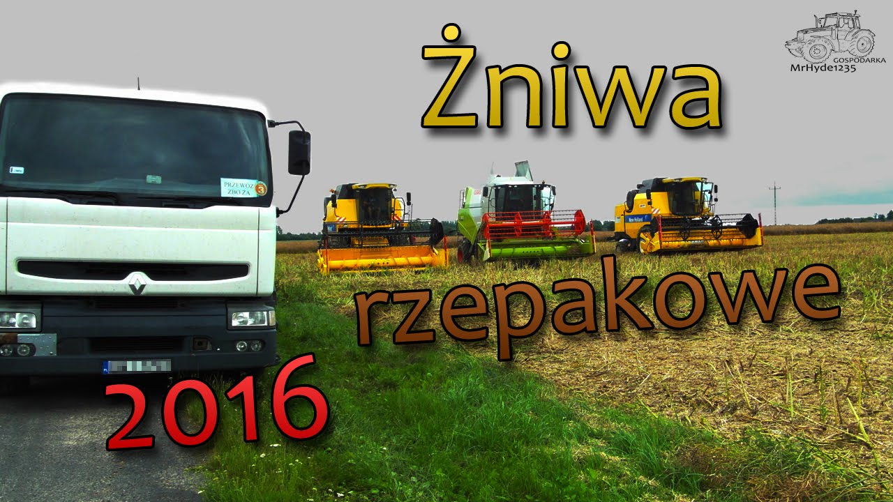 Żniwa rzepakowe 2016 ▌2X NEW HOLLAND & CLAAS▐ ●Hesper●