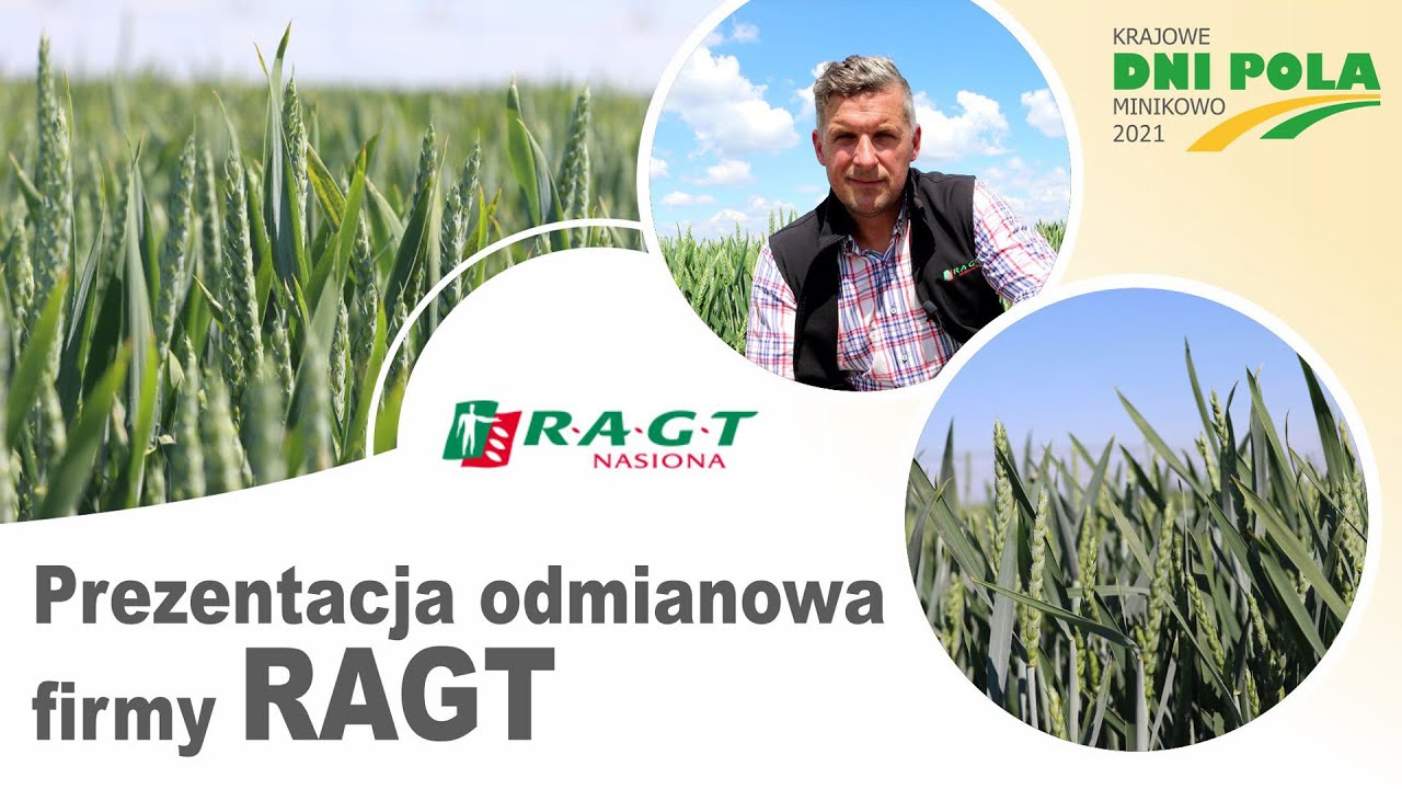 Krajowe Dni Pola 2021 - Prezentacja odmianowa firmy RAGT