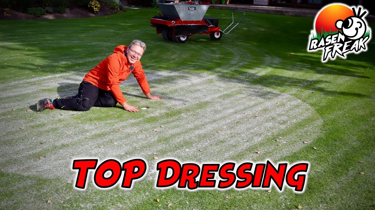 SAND streuen im HERBST. TOP DRESSING mit meinem BÜRSTENSTREUER. EINBÜRSTEN mit dem SWARDMAN Electra.
