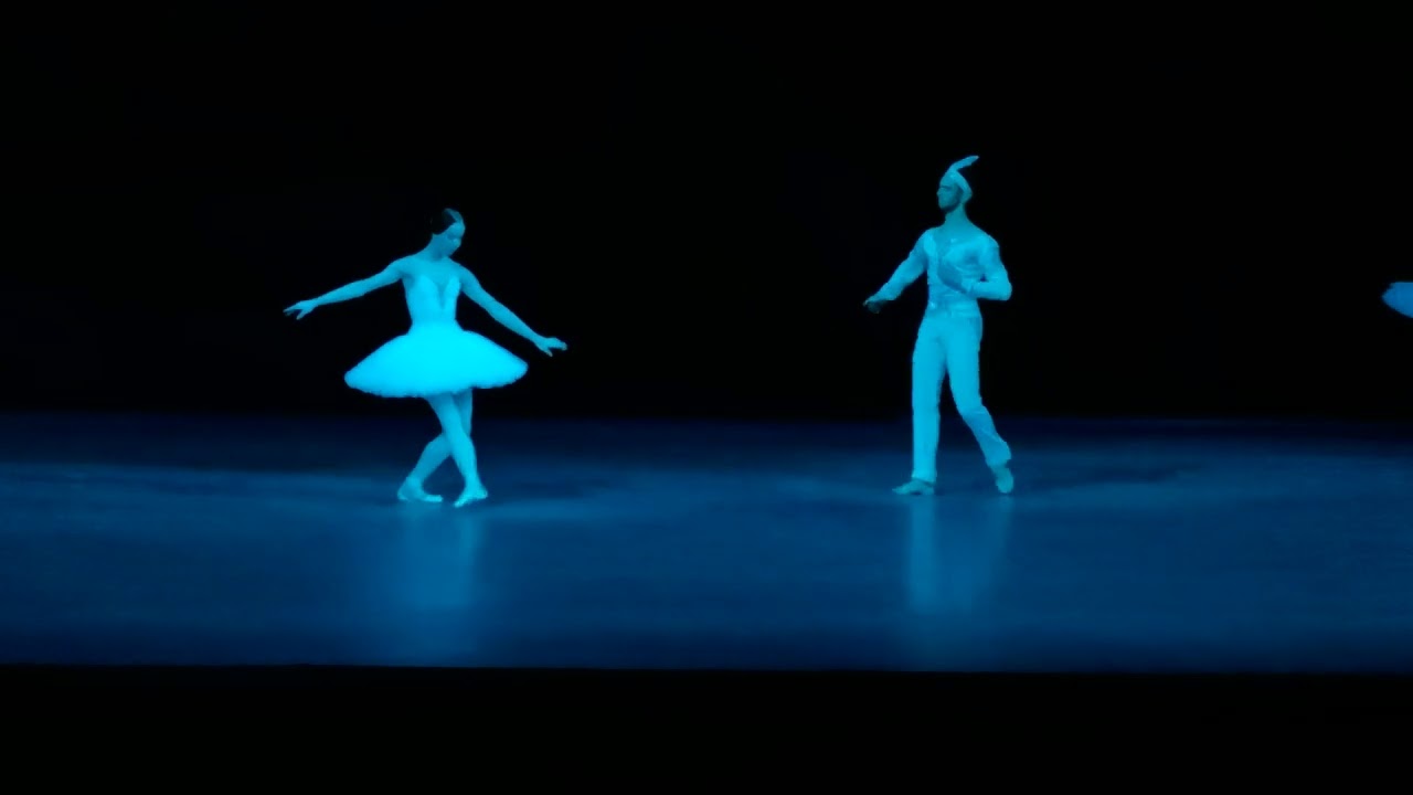 Ekaterina Krysanova and Semyon Chudin in ballet Bayadere