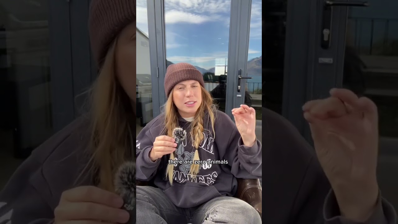 New Zealand 4 Month Impressions (from a Canadian)