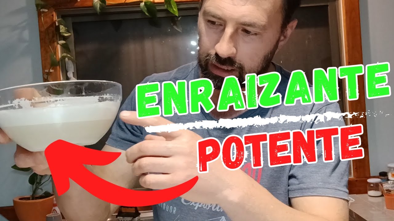 Potente Enraizante para Fortalecer tus Plantas y Esquejes Hecho a Base de Lentejas