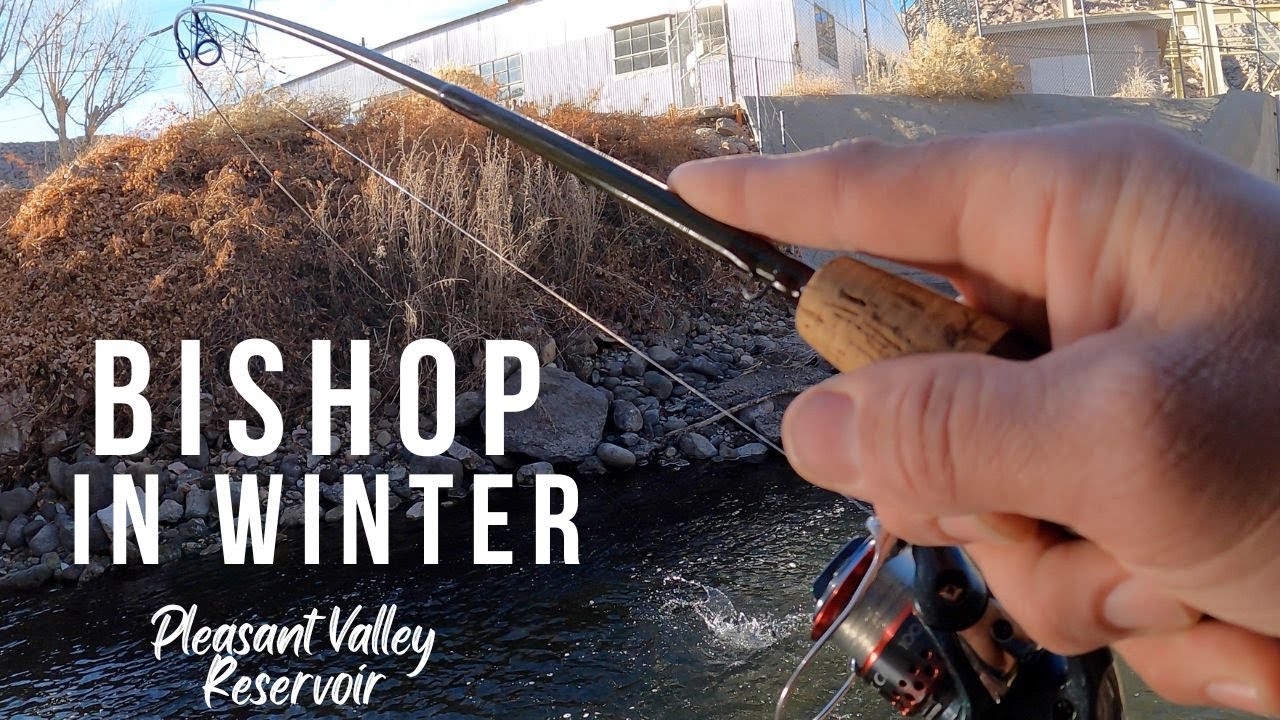 Trout Fishing Pleasant Valley Reservoir  |  Mini Jigs and Carolina Rigs Early Winter in Bishop, Ca.