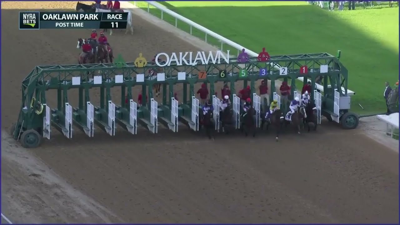 Horse of the Year Thorpedo Anna wins the Apple Blossom (G1)
