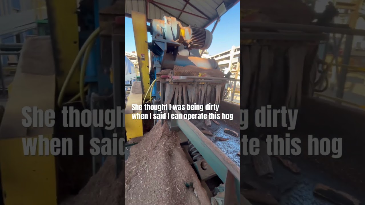 Like my hog? #construction #lumbermill #bluecollar #work #brasil #disco #tiktok #brazil #music #fyp
