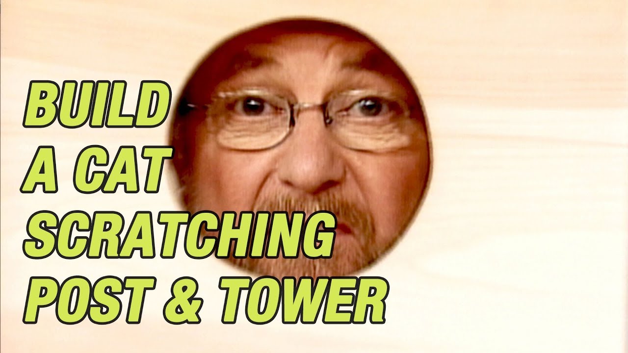 How to Build a Cat Tree Complete with Scratching Post and Tower