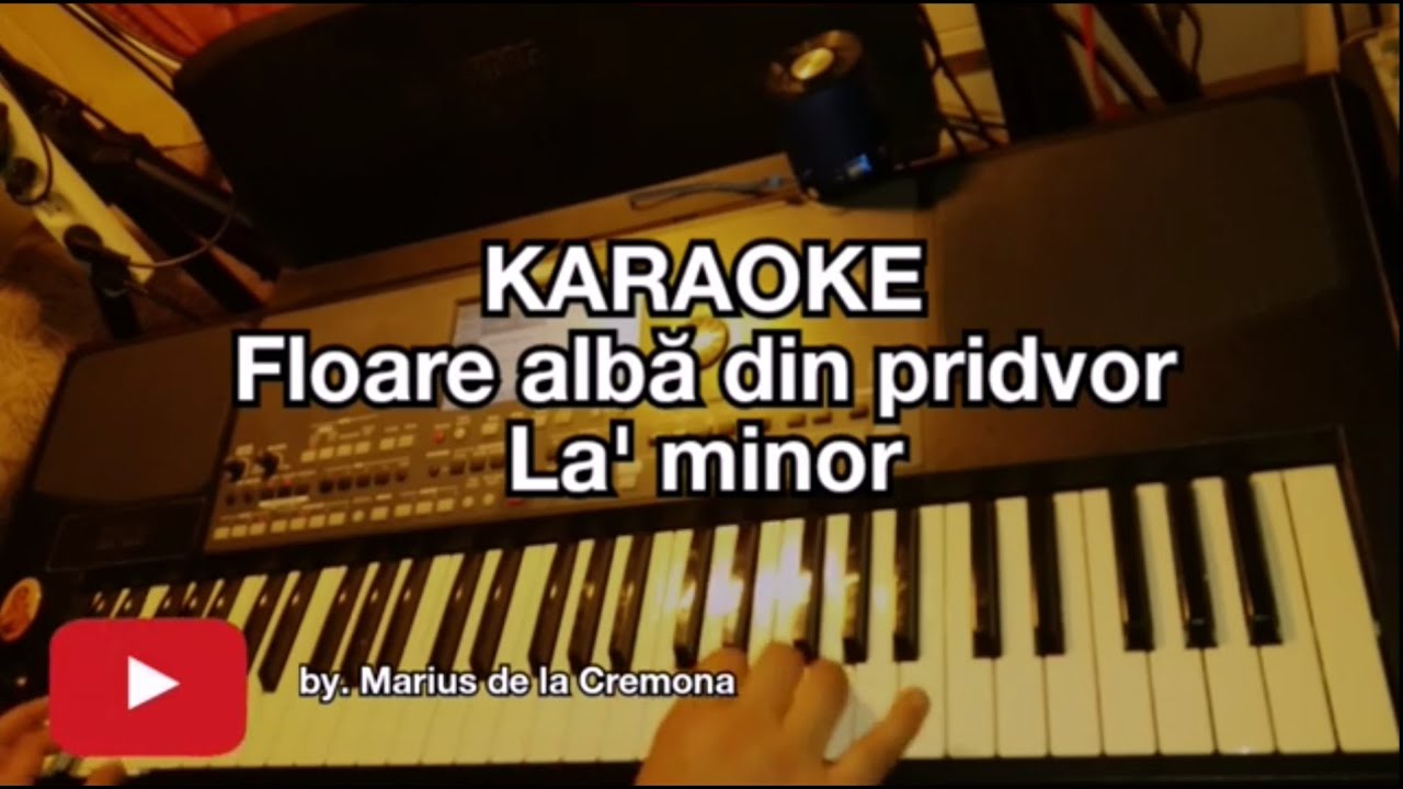 Floare albă din pridvor - KARAOKE (La'm)