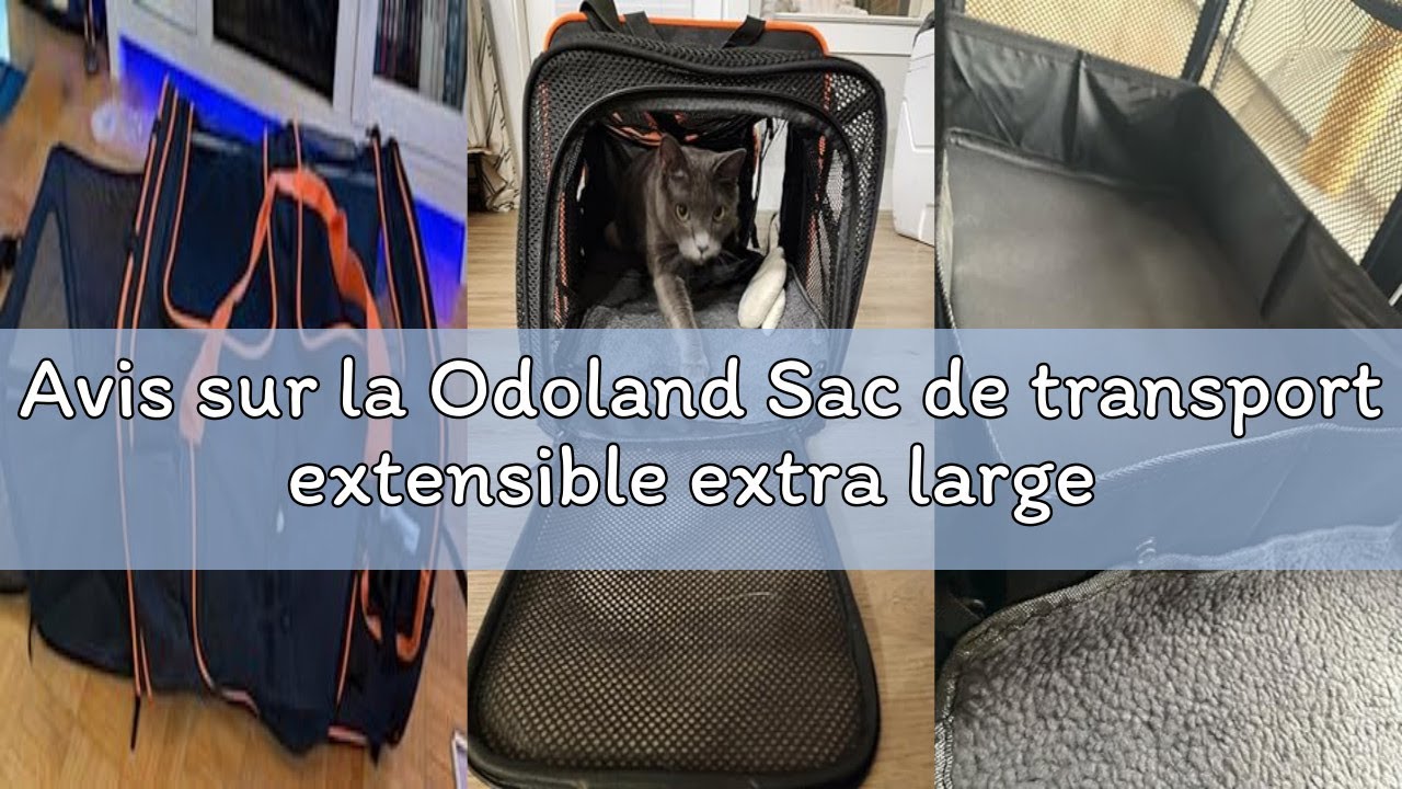 Avis sur la Odoland Sac de transport extensible extra large pour 2 chats avec bac à litière pour cha