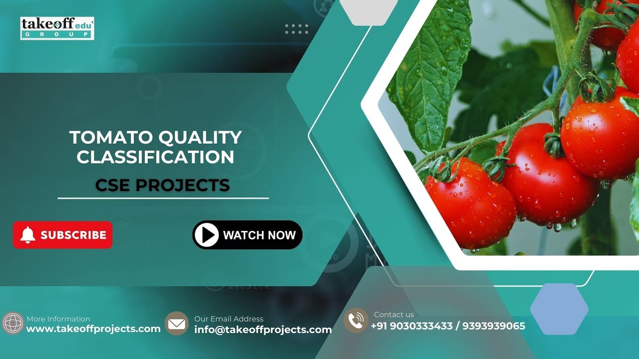 TOMATO QUALITY CLASSIFICATION | Takeoff Edu Group