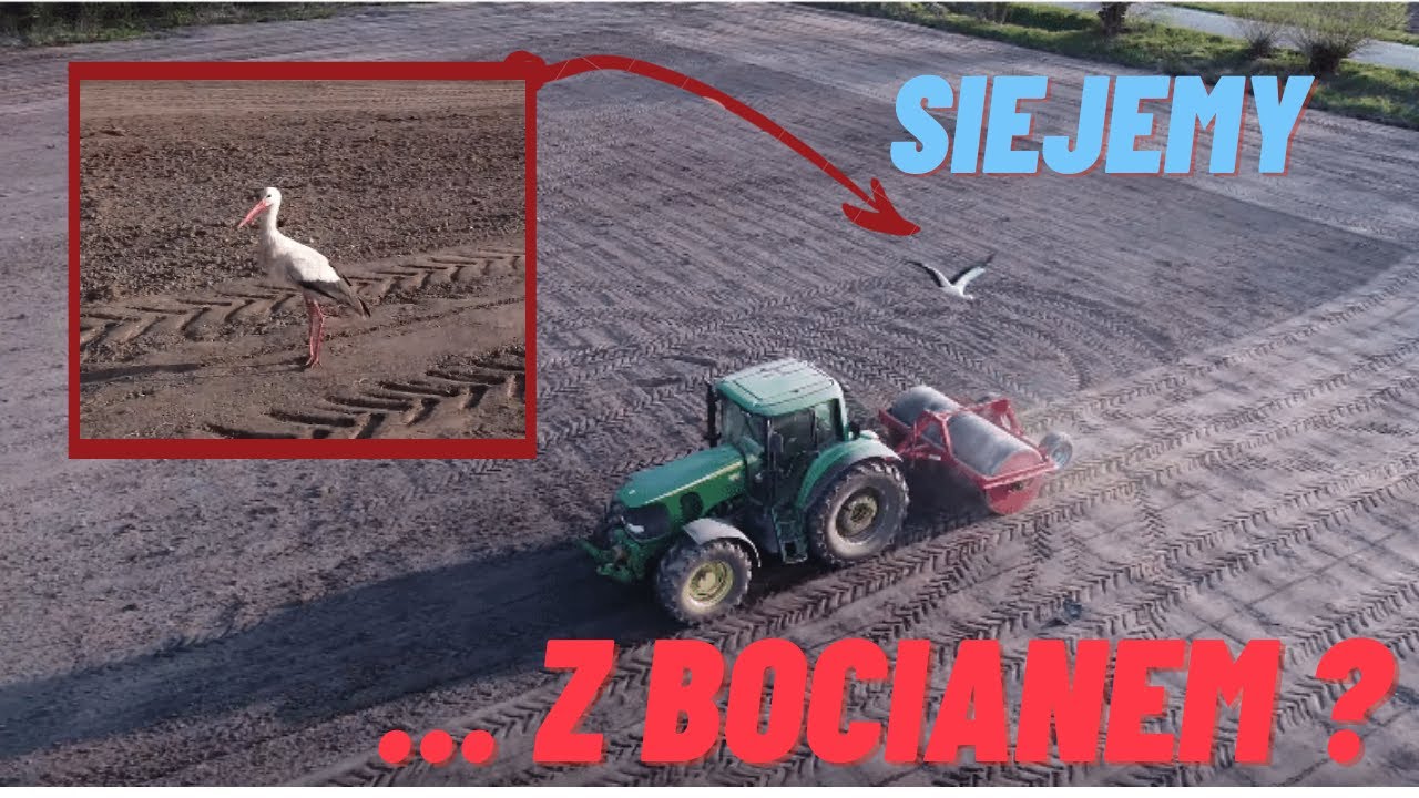 Wiosenny siew traw z BOCIANEM | DJI Mini 2 Shots | Siewnik AMAZONE | Sowing grass seed & rolling