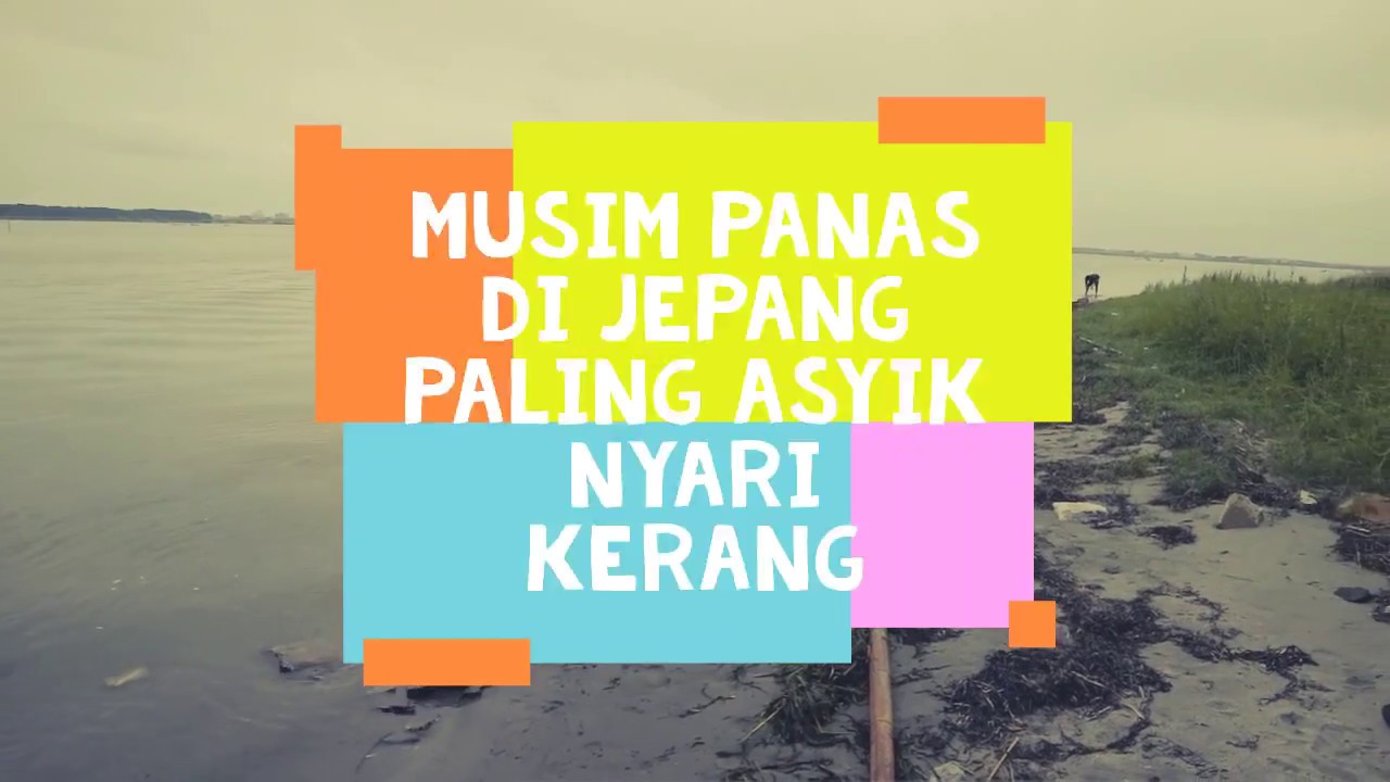 Kegiatan Musim Panas Di Jepang (Nyari Kerang)