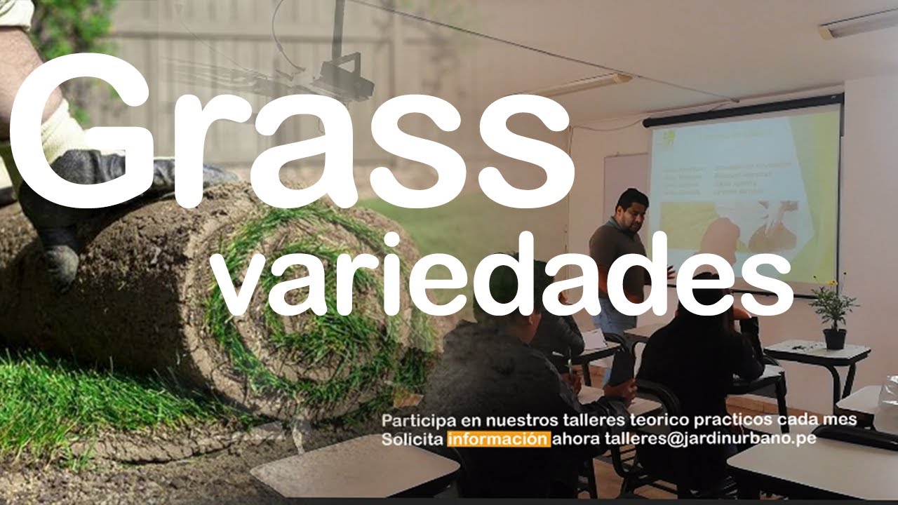 &iquest;Que tipo de grass debo usar en mi jard&iacute;n? | TALLERES JARD&Iacute;N URBANO