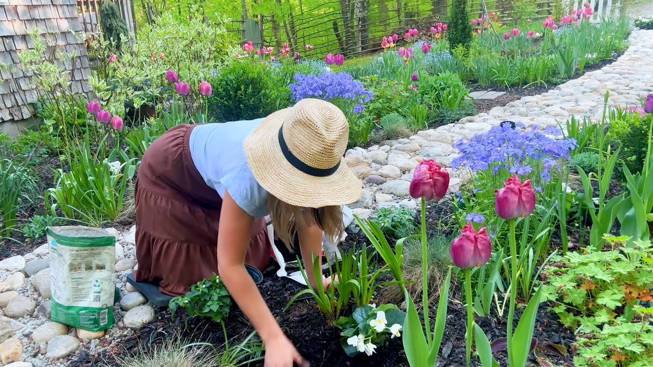 Planting Romantic Shade Loving Annuals in Our Cottage Borders (Vermont Zone 5A)