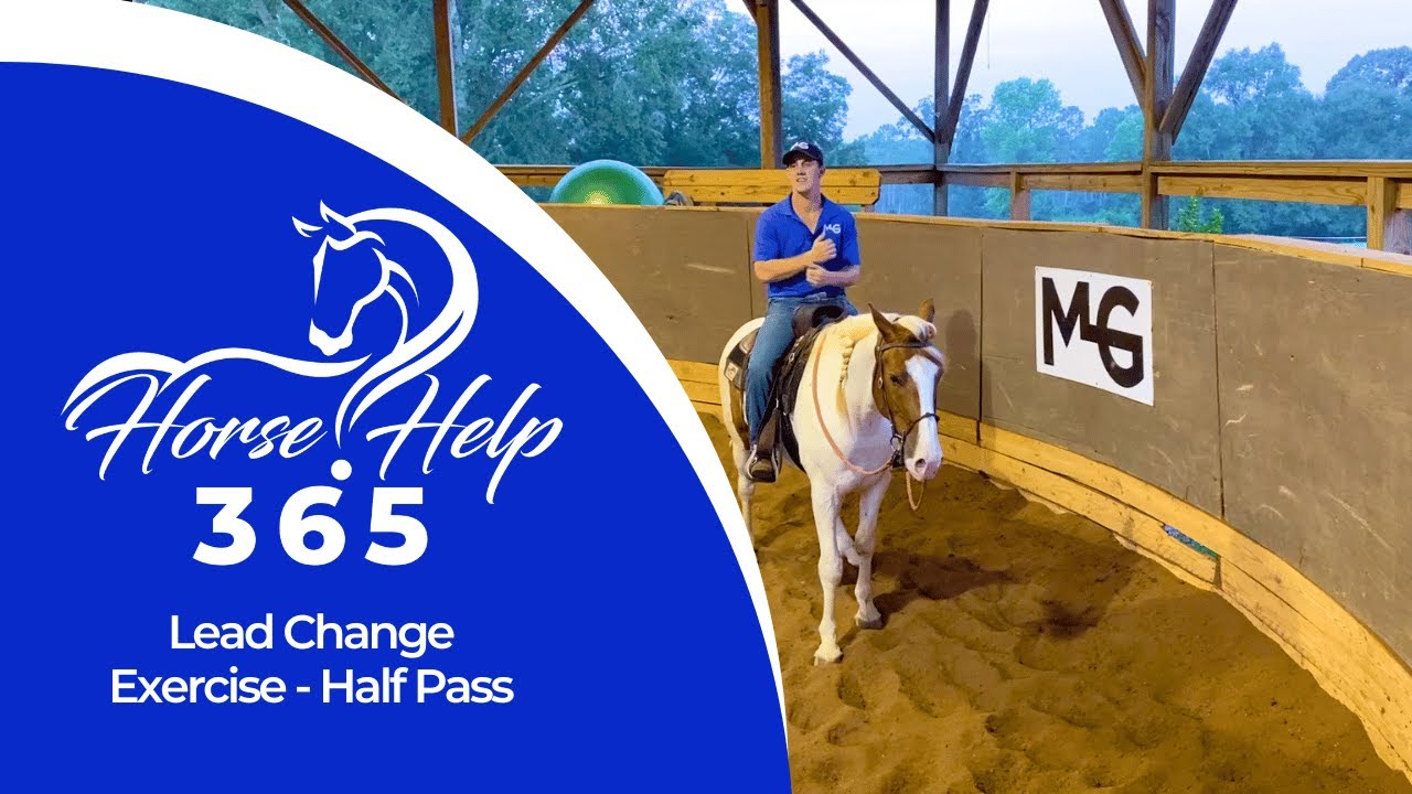 Lead Change Exercise - Half Pass | Horse Help - Michael Gascon