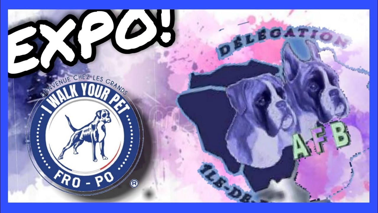 🐶BOXER aleman, EXPO regional FRANCIA 🇫🇷 /  AFB 2021🥇🏆(análisis)