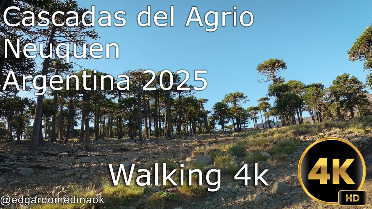 Hiking - Cascadas del Agrio Neuquen Argentina 2025 (Walking 4k)
