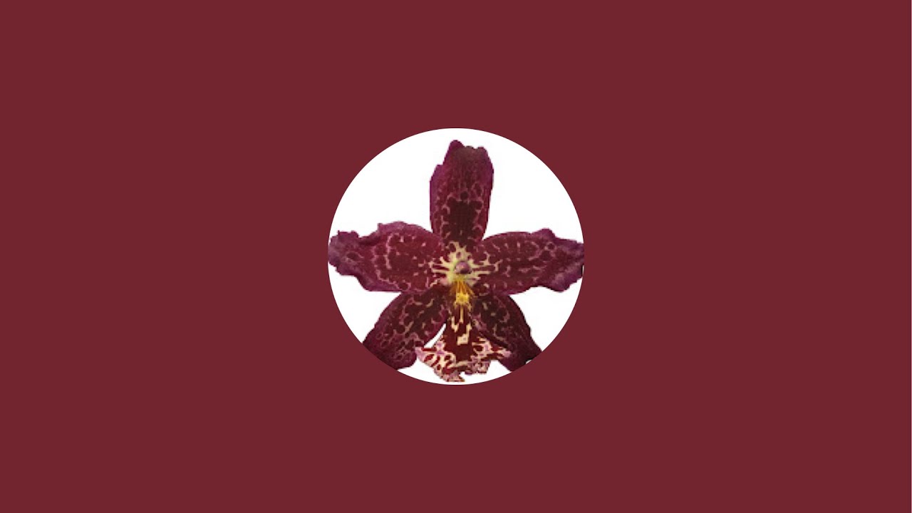 Next Growth is live!