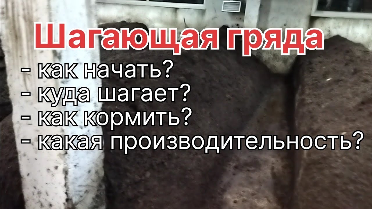 Технология 