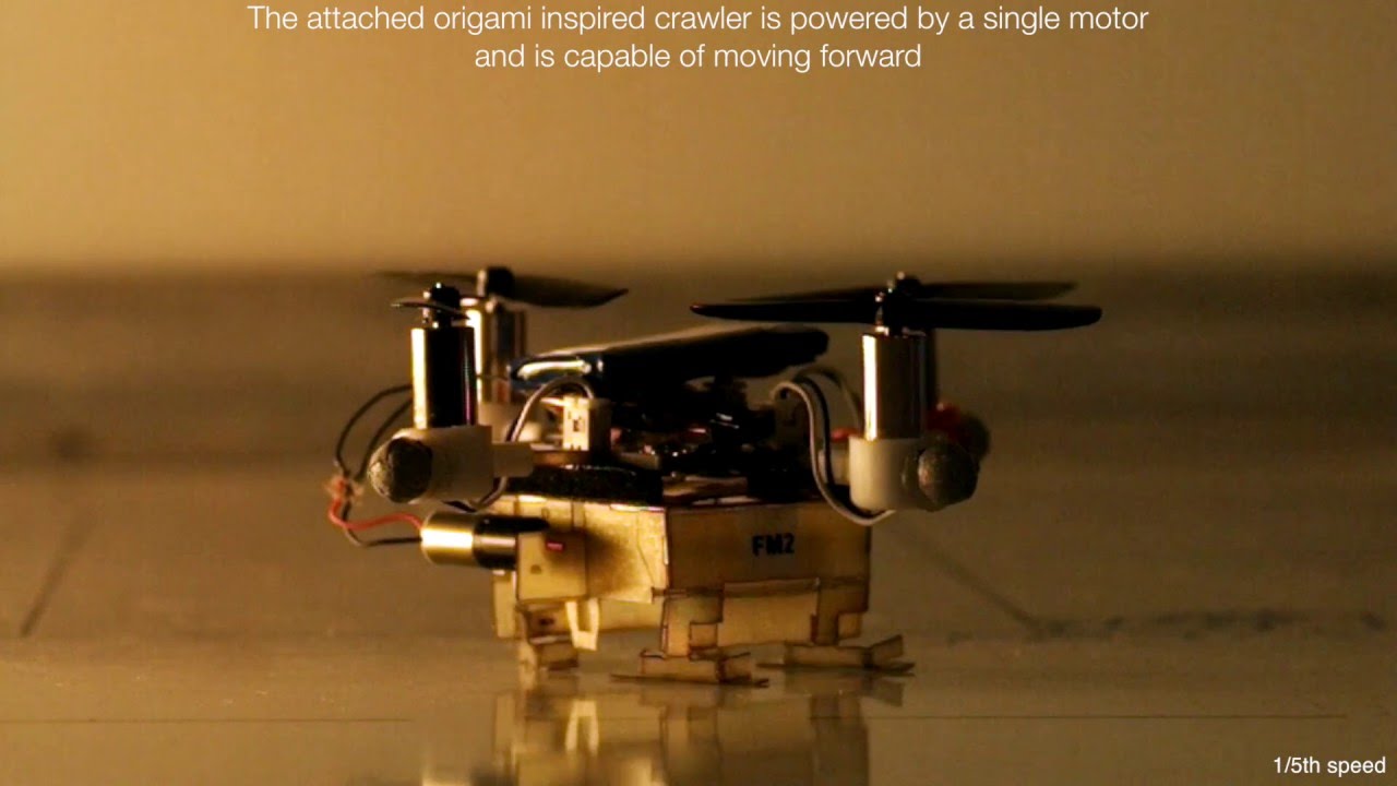 The Picobug : a mesoscale robot that can run, fly, and grasp