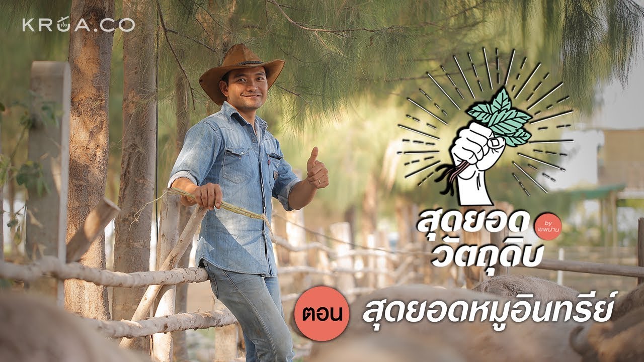 สุดยอดหมูอินทรีย์ | สุดยอดวัตถุดิบ by เชฟน่าน