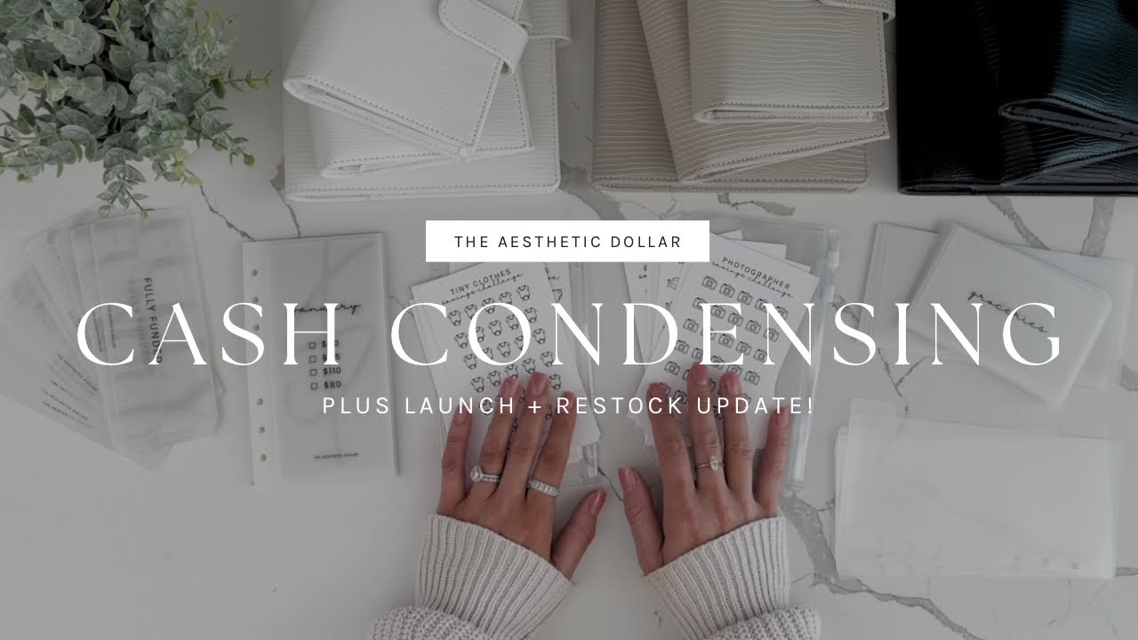 Cash Condensing + Shop Update | Tikhub Unboxing | Dave Ramsey Inspired