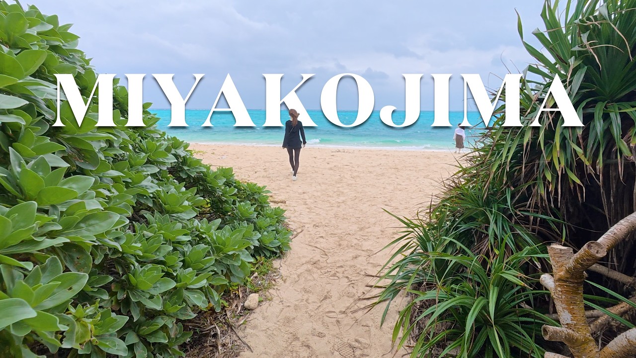Miyakojima in Winter 🇯🇵 【宮古島Vlog】| Our Days in Japan