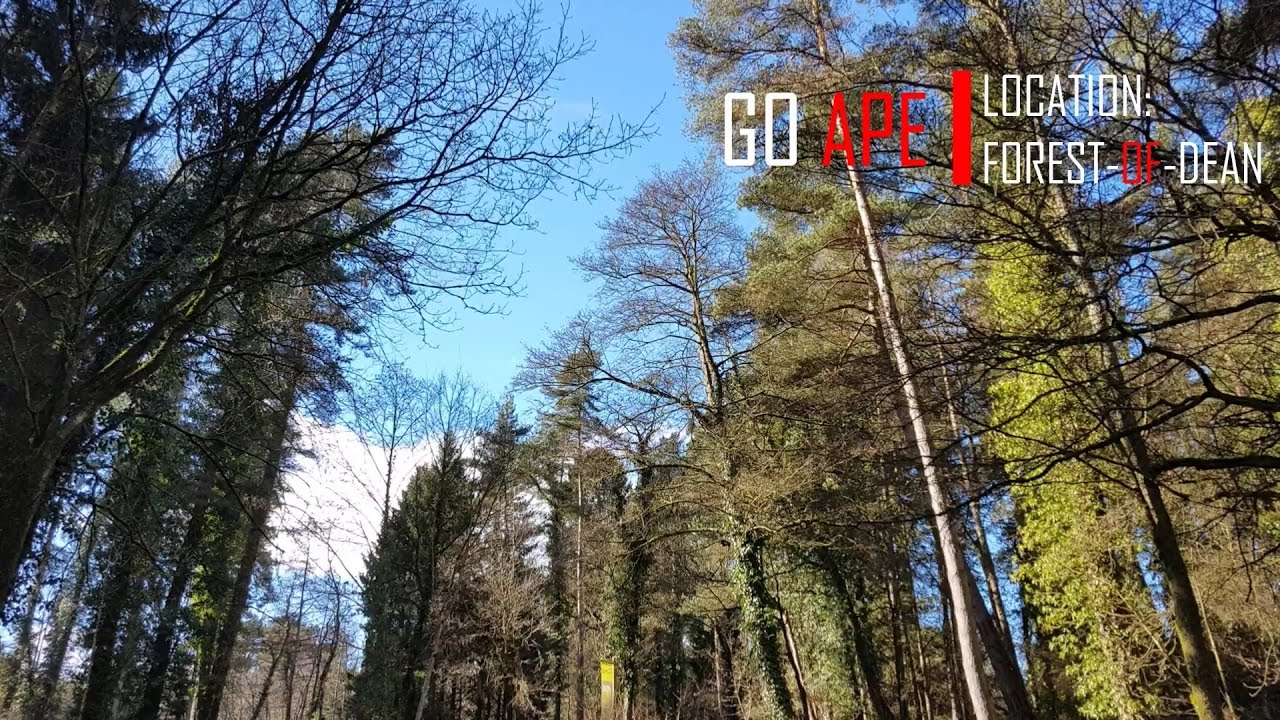 Go Ape - Forest of Dean