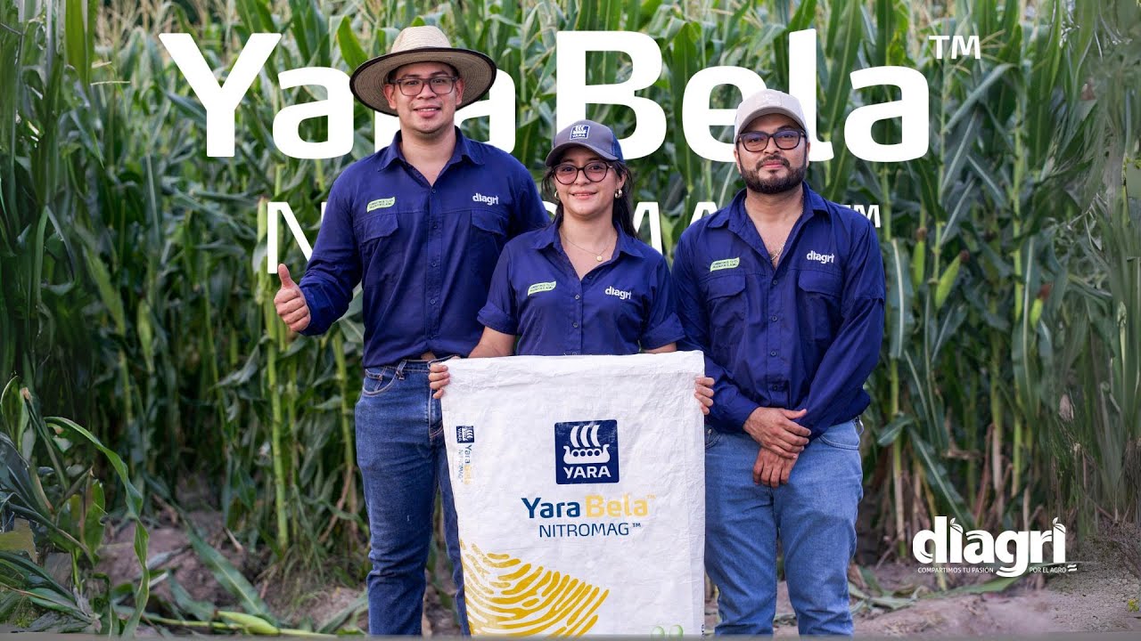 &iexcl;M&aacute;s fuerza para tu cultivo de ma&iacute;z! Conoc&eacute; YaraBela Nitromag