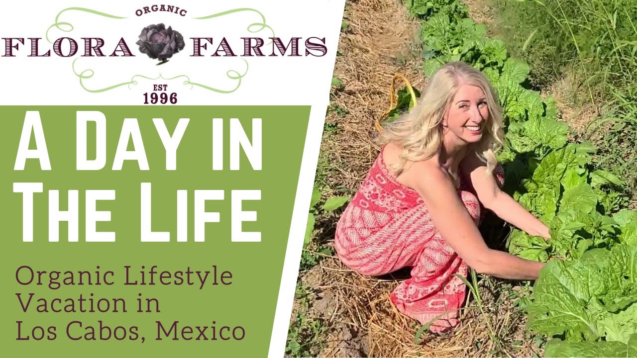 My Natural Lifestyle Vacation at Flora Farms: Los Cabos&rsquo; Best Organic Restaurant, Farm, & Beach Club