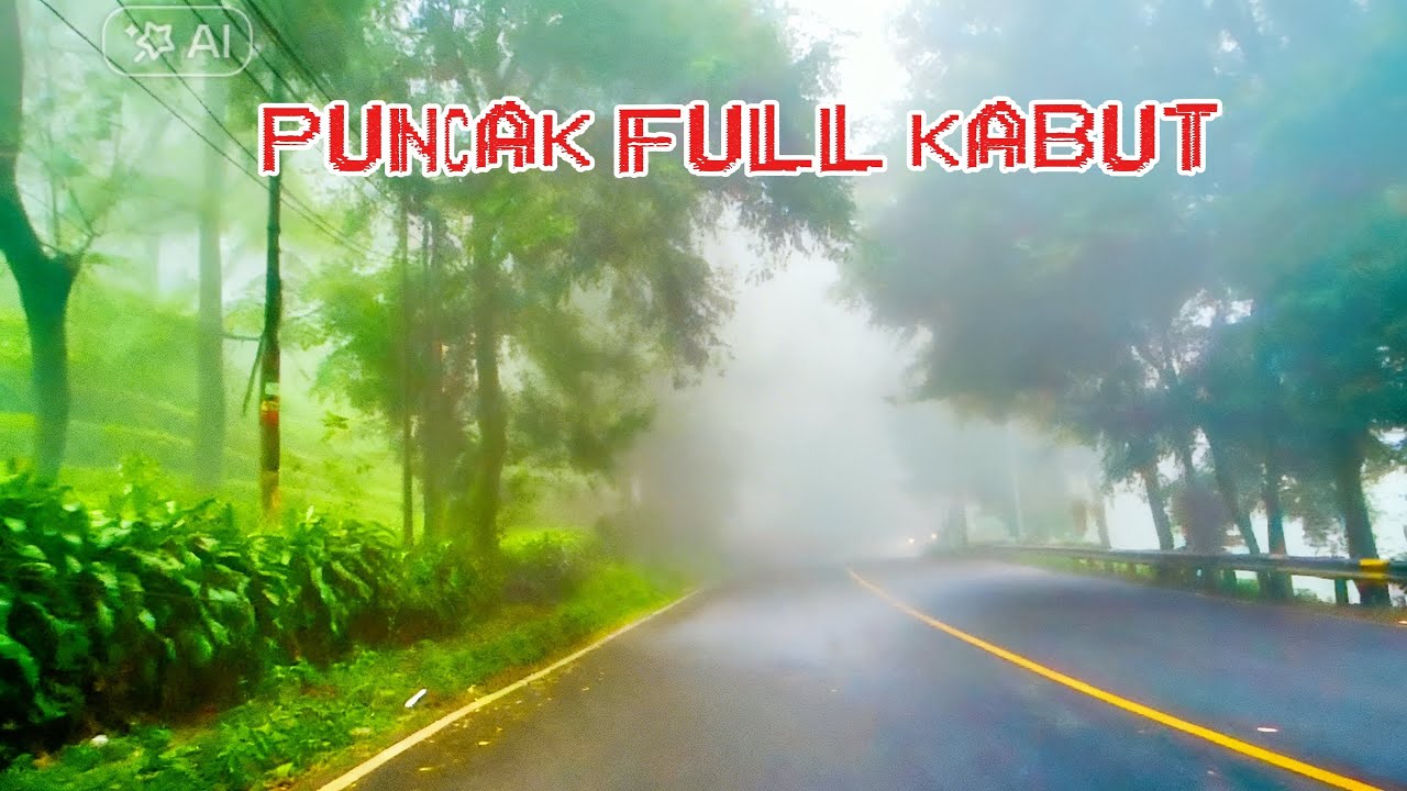 Full kabut puncak bogor 