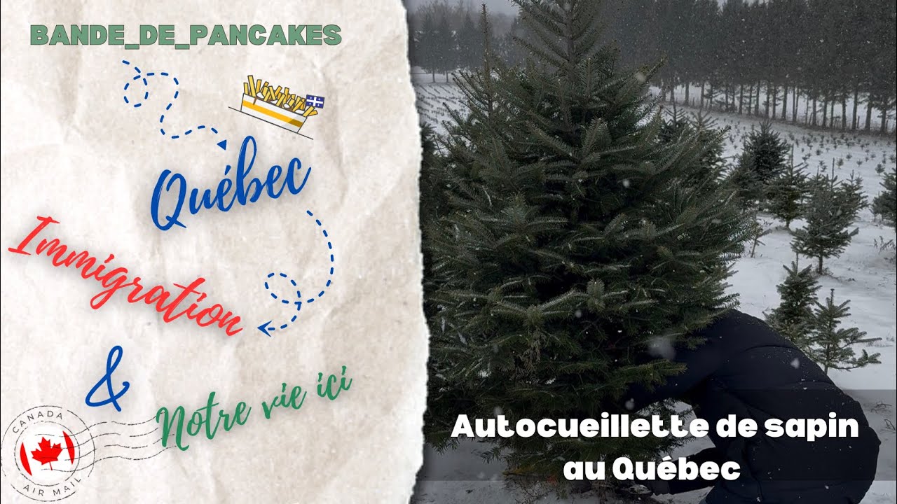 VLOG Québec : Cueillette de sapin et déco de Noël 
